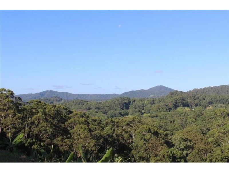 729 Smiths Creek Road, Stokers Siding, Murwillumbah NSW 2484