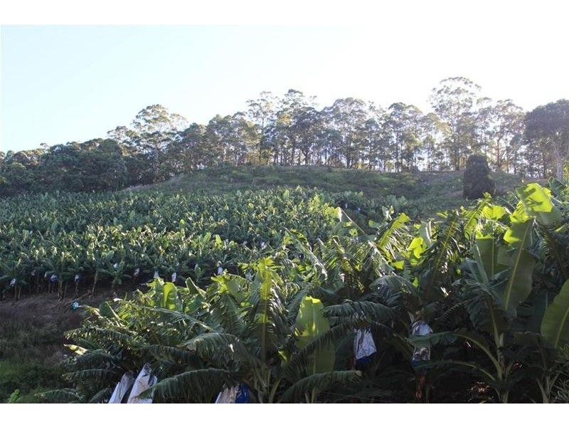 729 Smiths Creek Road, Stokers Siding, Murwillumbah NSW 2484