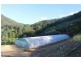 729 Smiths Creek Road, Stokers Siding, Murwillumbah NSW 2484