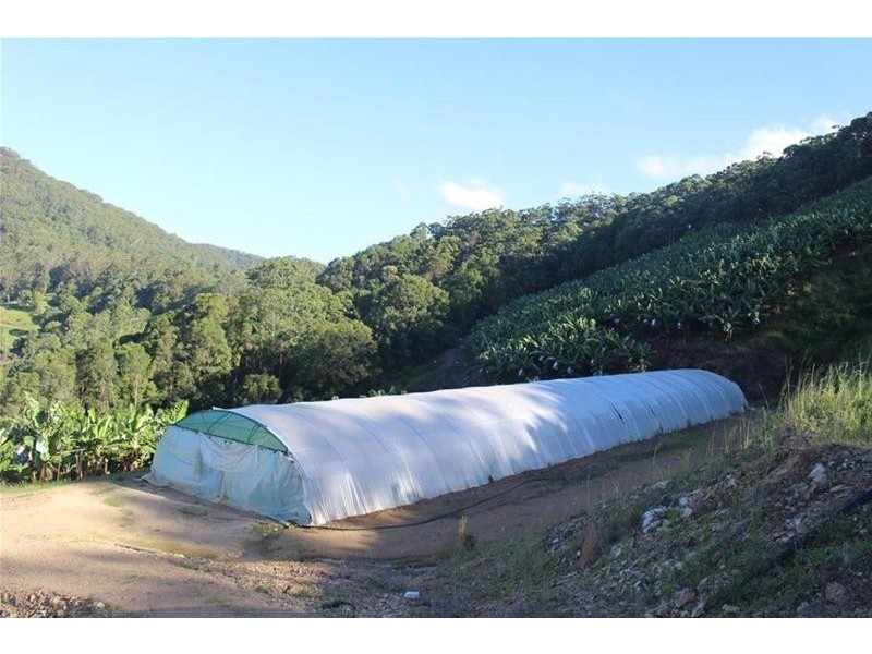 729 Smiths Creek Road, Stokers Siding, Murwillumbah NSW 2484