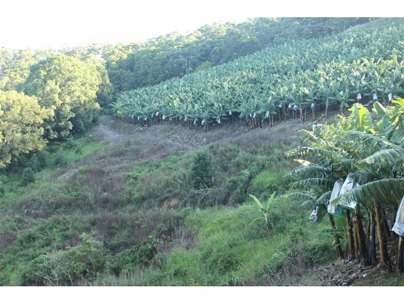 729 Smiths Creek Road, Stokers Siding, Murwillumbah NSW 2484