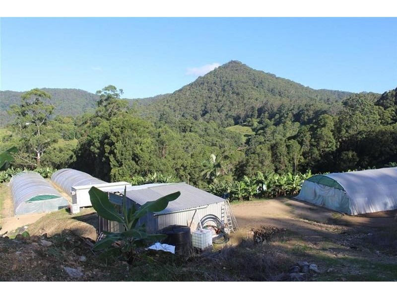 729 Smiths Creek Road, Stokers Siding, Murwillumbah NSW 2484