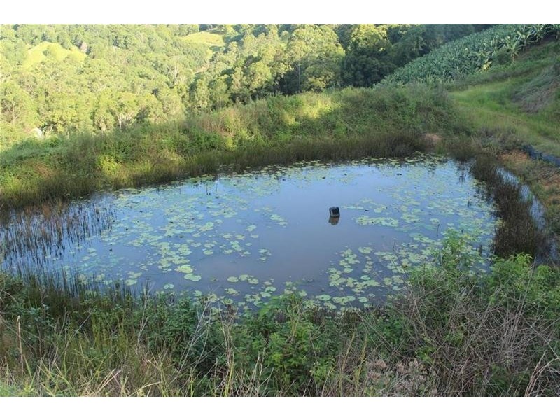 729 Smiths Creek Road, Stokers Siding, Murwillumbah NSW 2484