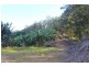 729 Smiths Creek Road, Stokers Siding, Murwillumbah NSW 2484