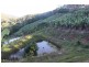 729 Smiths Creek Road, Stokers Siding, Murwillumbah NSW 2484