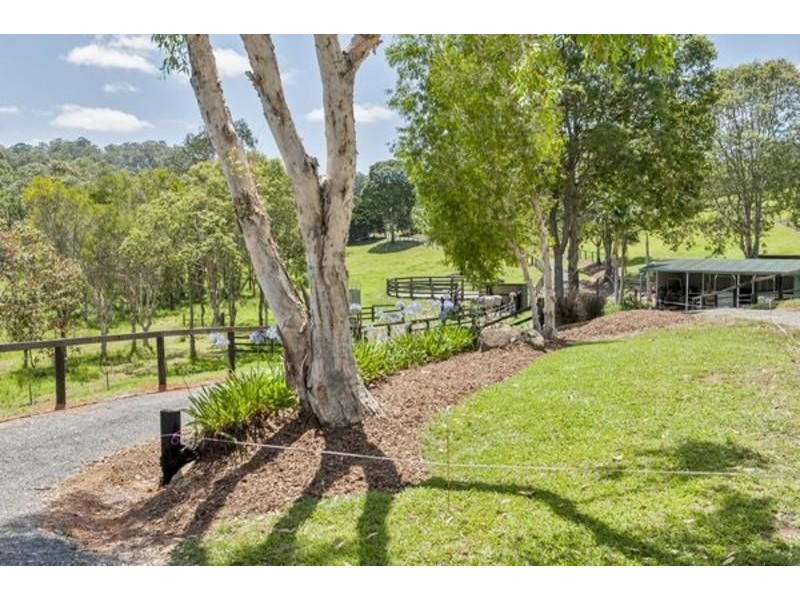 440 Wardrop Valley Road, Murwillumbah NSW 2484
