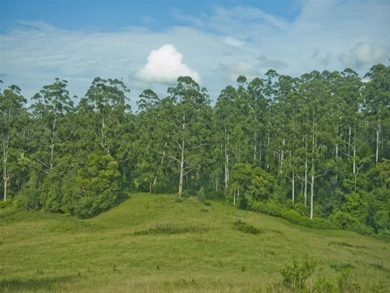 3931 Kyogle Road, Lillian Rock NSW 2480