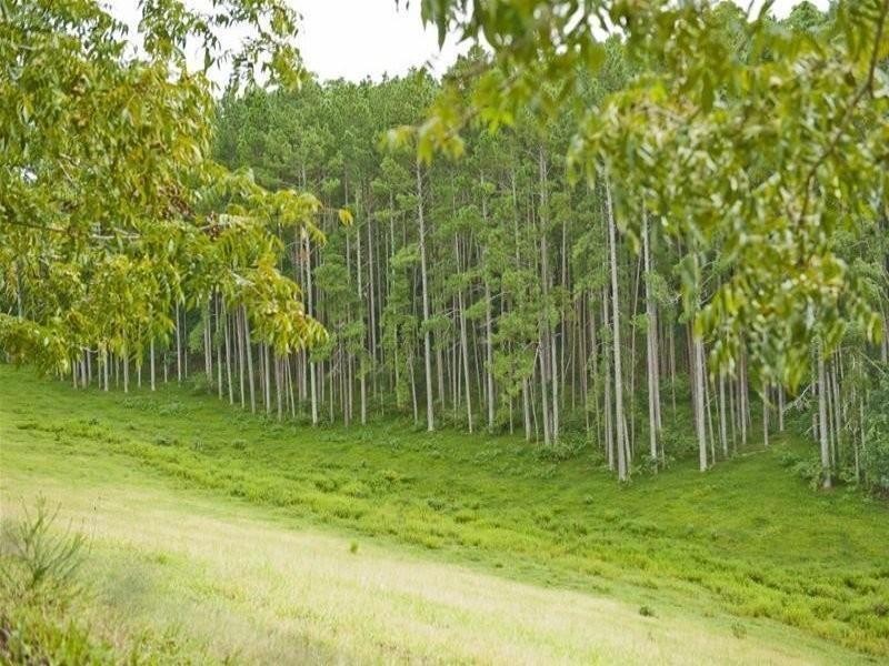 3931 Kyogle Road, Lillian Rock NSW 2480