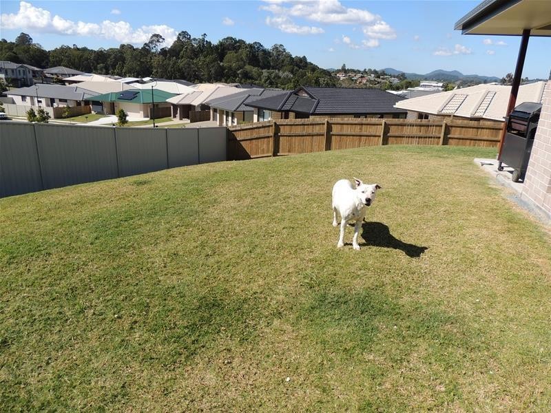 1 Freshfield  Way, Murwillumbah NSW 2484