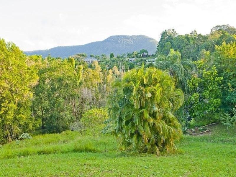 163 Bakers Road, Murwillumbah NSW 2484