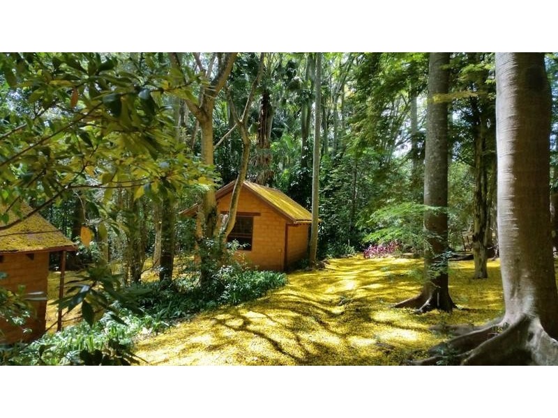 587 Nobbys Creek Road, Nobbys Creek NSW 2484