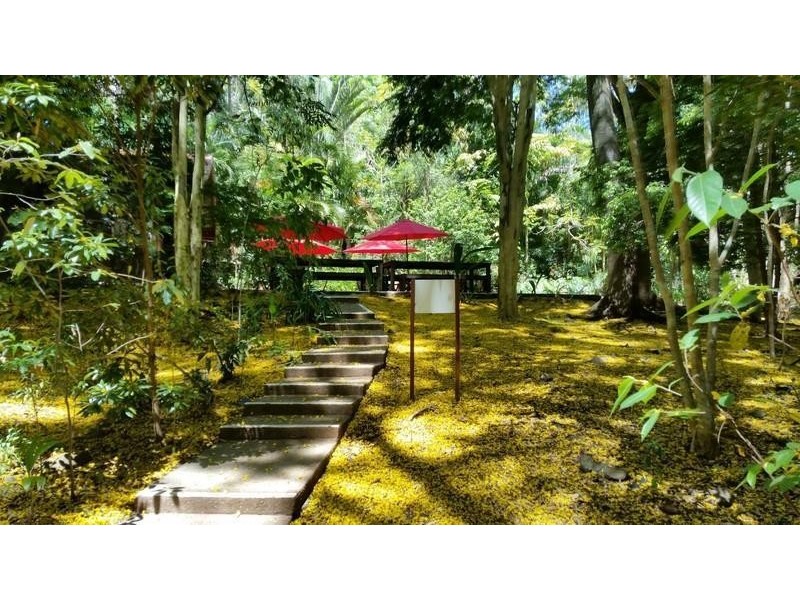 587 Nobbys Creek Road, Nobbys Creek NSW 2484