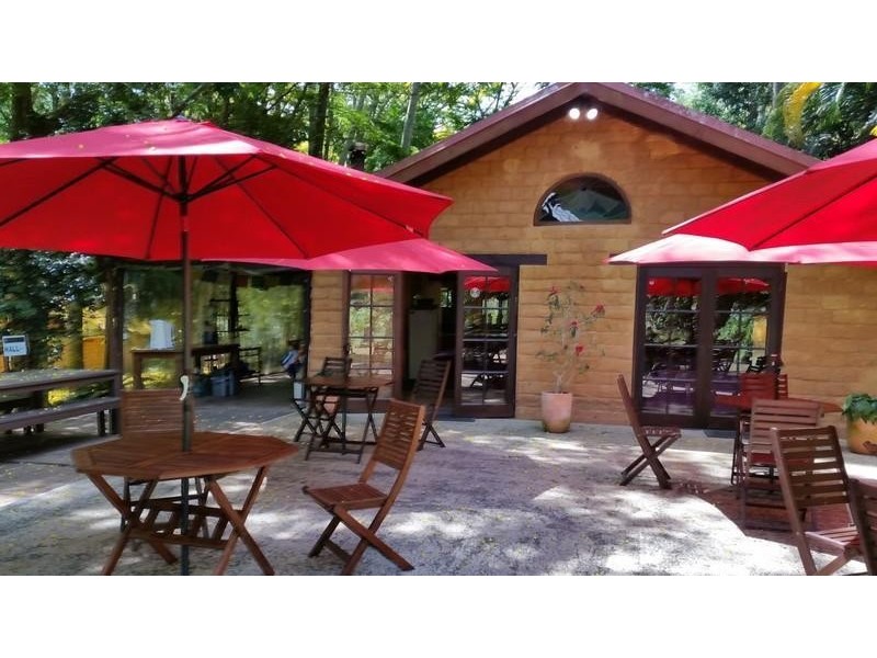 587 Nobbys Creek Road, Nobbys Creek NSW 2484