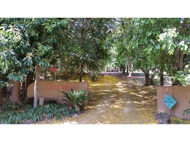 587 Nobbys Creek Road, Nobbys Creek NSW 2484