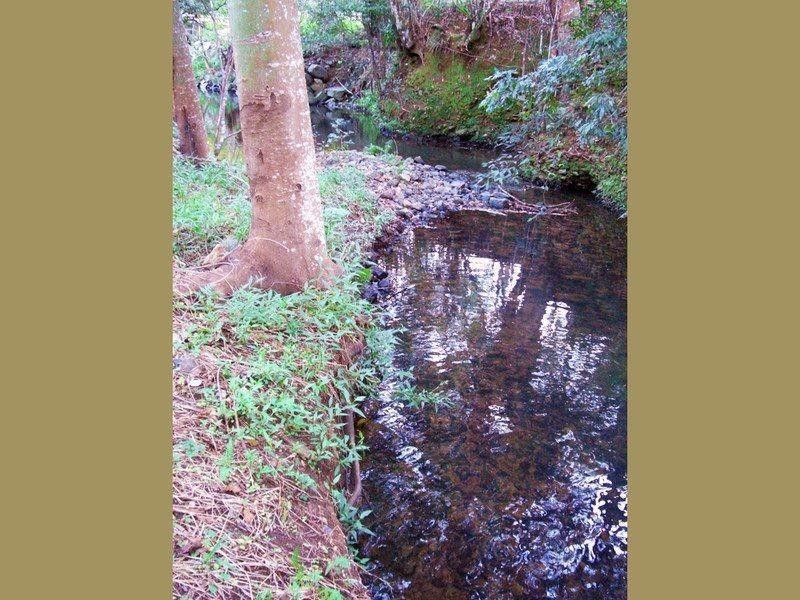 587 Nobbys Creek Road, Nobbys Creek NSW 2484