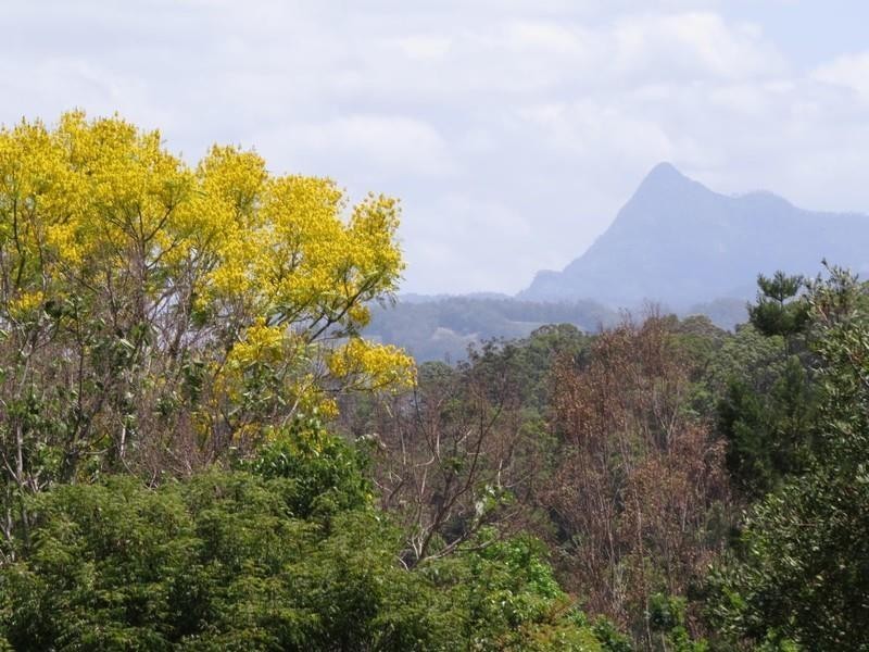 587 Nobbys Creek Road, Nobbys Creek NSW 2484