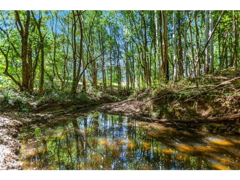 45 Lillian Road, Blue Knob NSW 2480