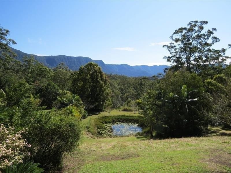 361 South Pumpenbil Road, Tyalgum NSW 2484