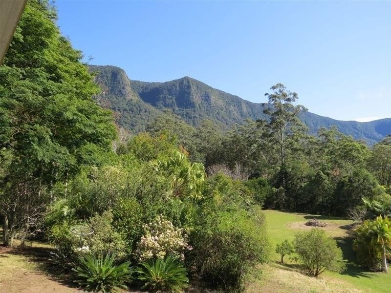 361 South Pumpenbil Road, Tyalgum NSW 2484