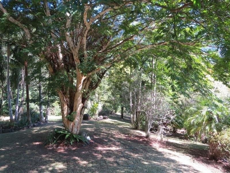 361 South Pumpenbil Road, Tyalgum NSW 2484