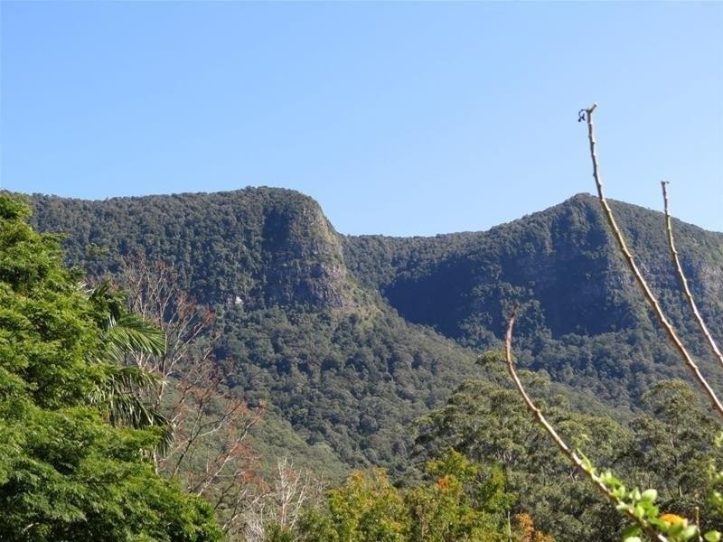 361 South Pumpenbil Road, Tyalgum NSW 2484