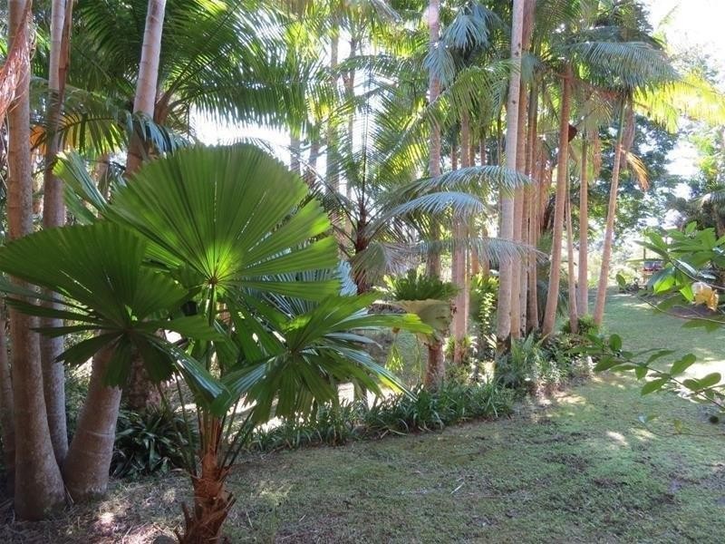 361 South Pumpenbil Road, Tyalgum NSW 2484