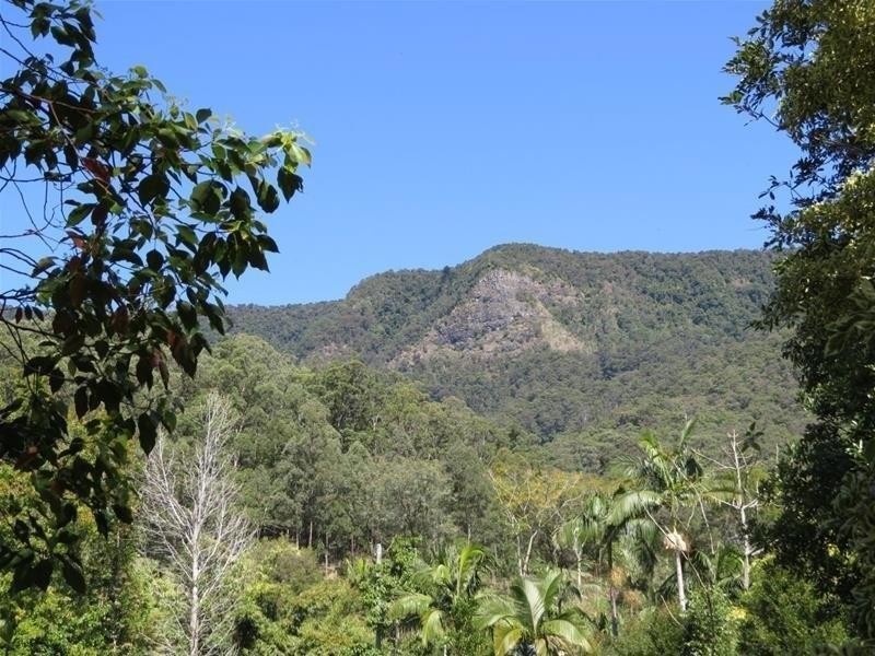 361 South Pumpenbil Road, Tyalgum NSW 2484