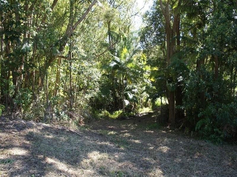 30 Tree Street, Murwillumbah NSW 2484