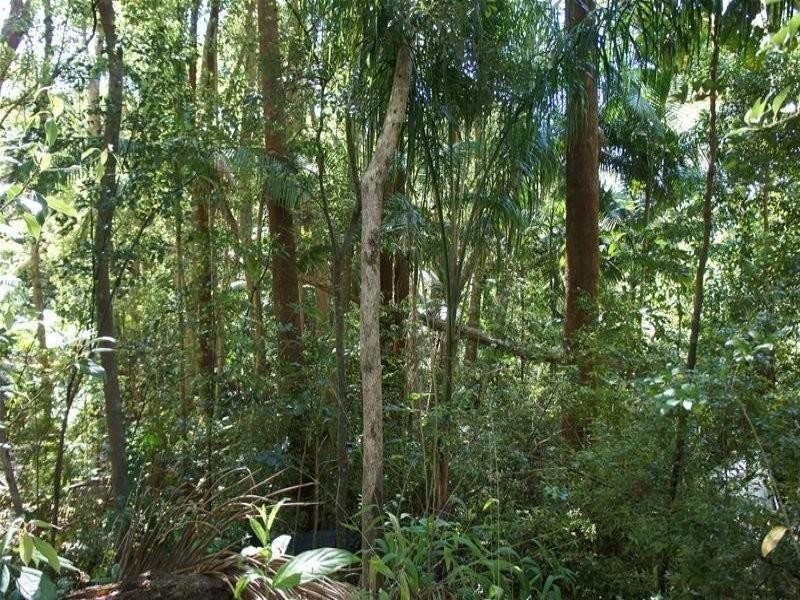 30 Tree Street, Murwillumbah NSW 2484