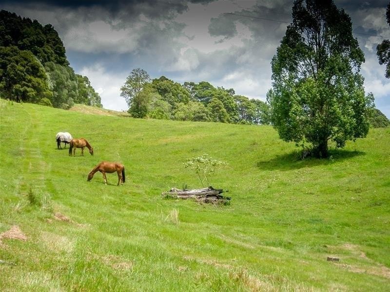 68 Wilman Road Round Mountain Road, Cabarita Beach NSW 2488