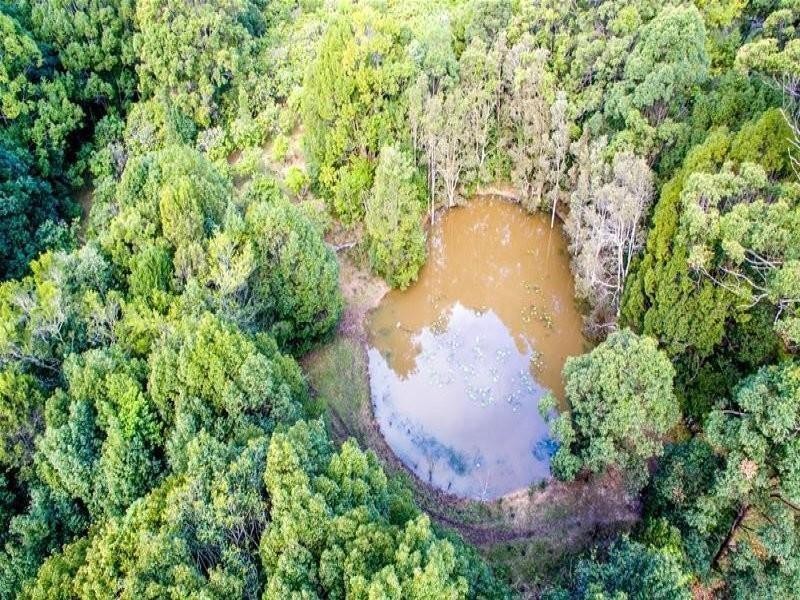 68 Wilman Road Round Mountain Road, Cabarita Beach NSW 2488