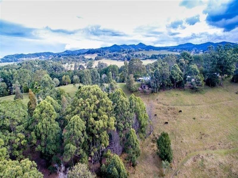 68 Wilman Road Round Mountain Road, Cabarita Beach NSW 2488