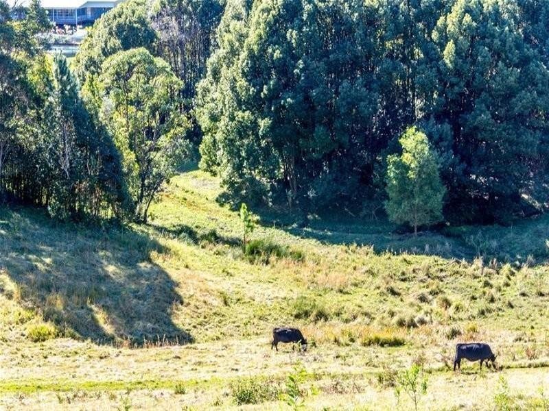 68 Wilman Road Round Mountain Road, Cabarita Beach NSW 2488