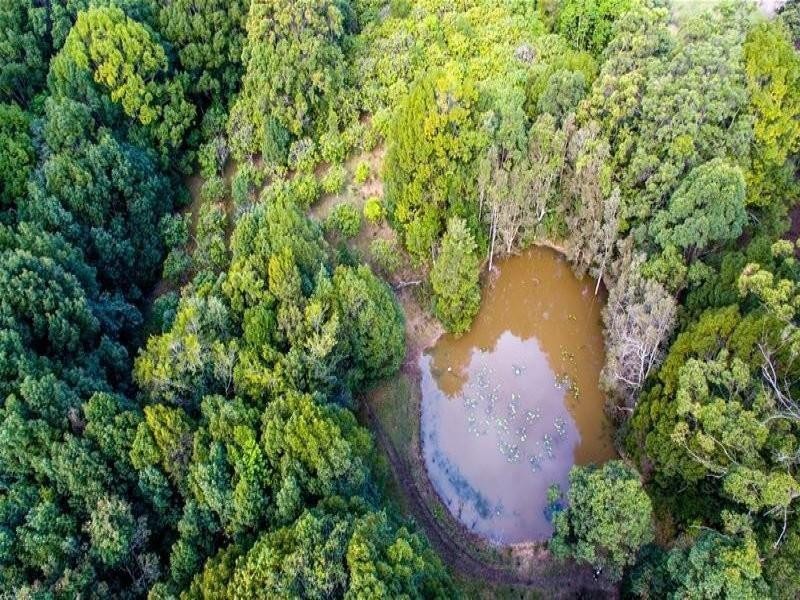 68 Wilman Road Round Mountain Road, Cabarita Beach NSW 2488