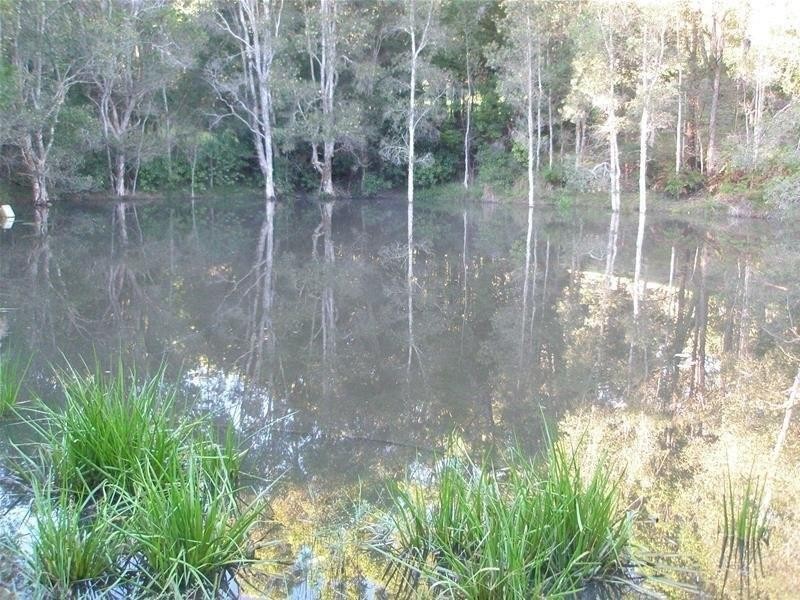 68 Wilman Road Round Mountain Road, Cabarita Beach NSW 2488