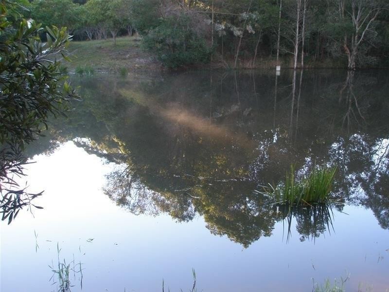 68 Wilman Road Round Mountain Road, Cabarita Beach NSW 2488