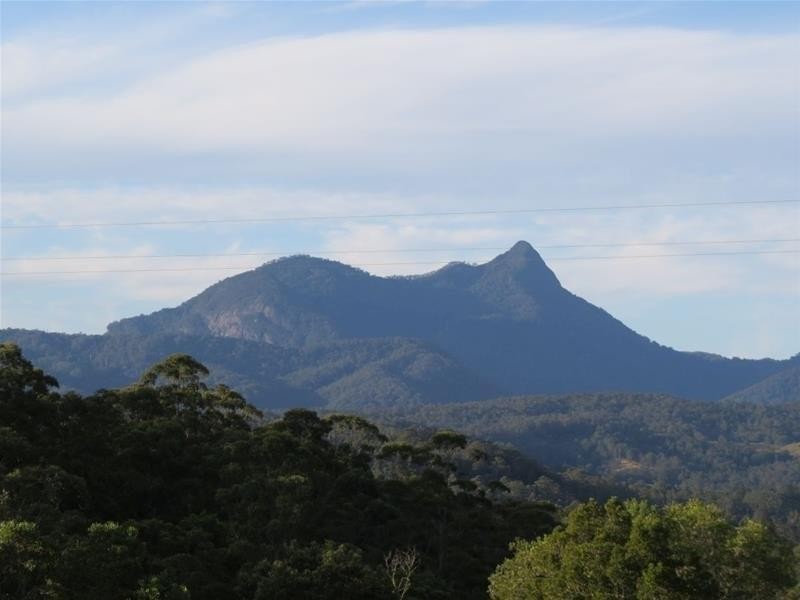 213 Mount Burrell Road, Mount Burrell NSW 2484