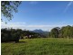 213 Mount Burrell Road, Mount Burrell NSW 2484