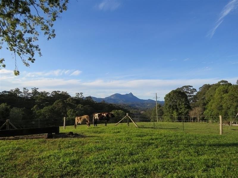 213 Mount Burrell Road, Mount Burrell NSW 2484