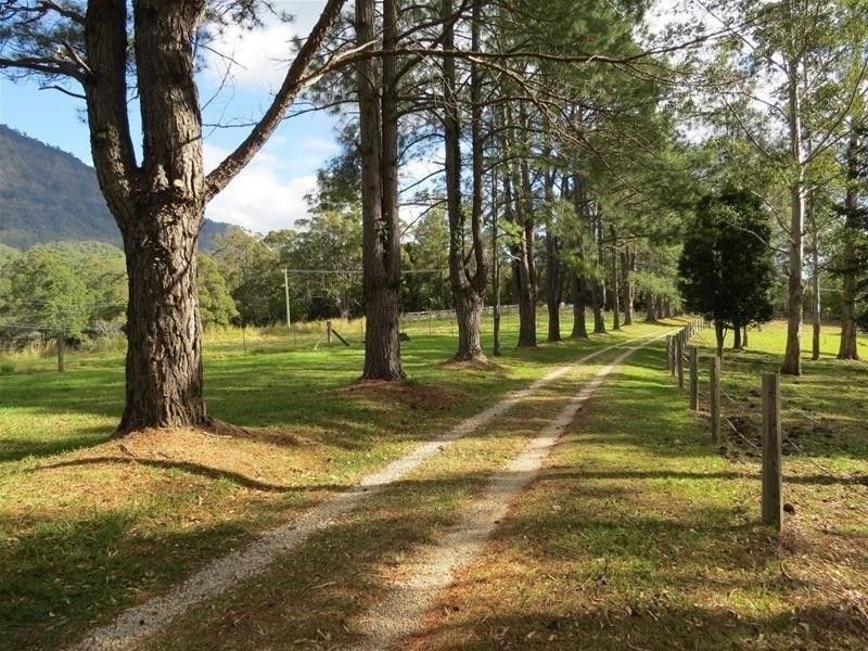 213 Mount Burrell Road, Mount Burrell NSW 2484