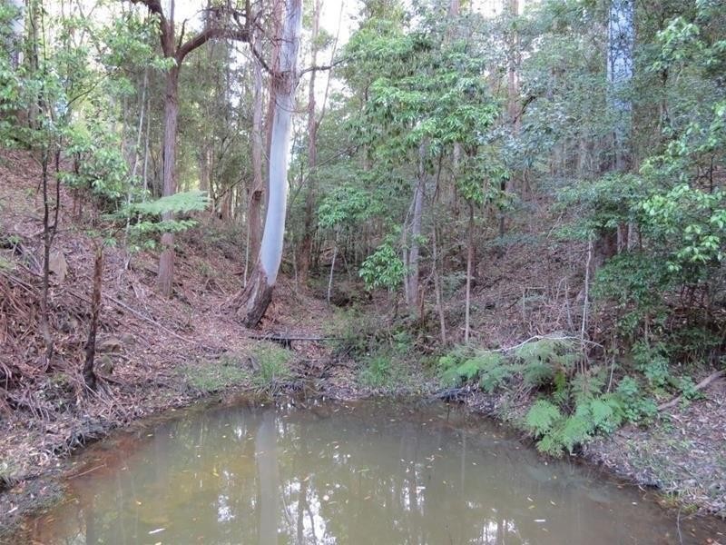 213 Mount Burrell Road, Mount Burrell NSW 2484