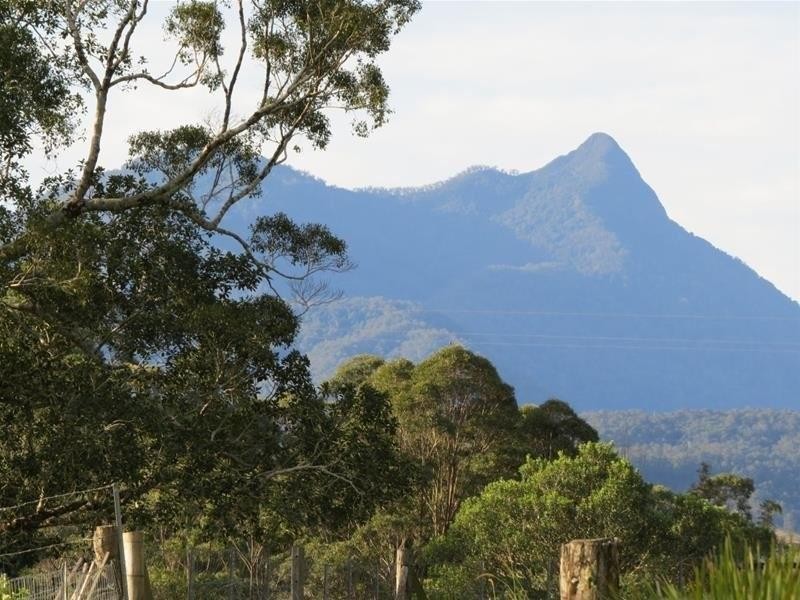 213 Mount Burrell Road, Mount Burrell NSW 2484