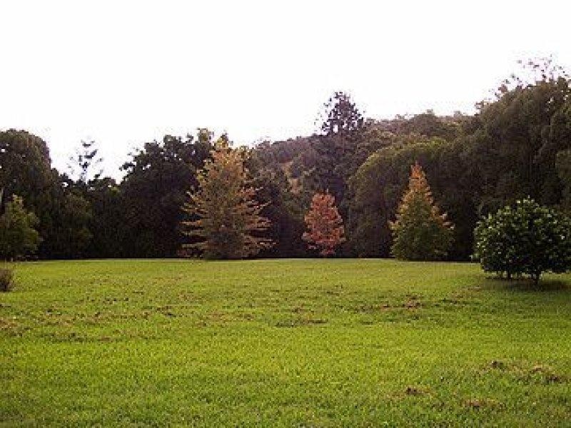 20 Cooloon Street, Kunghur NSW 2484