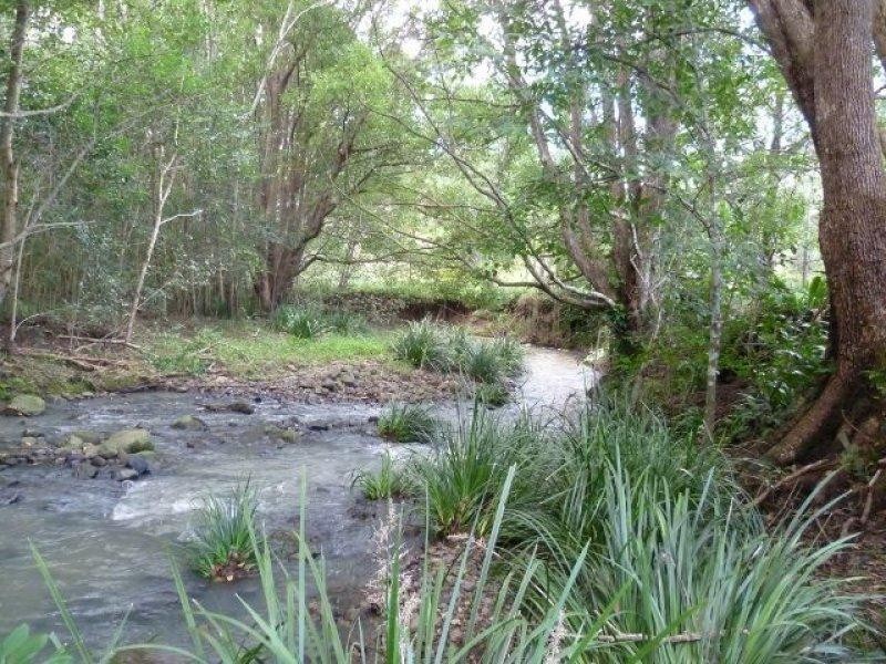 20 Cooloon Street, Kunghur NSW 2484