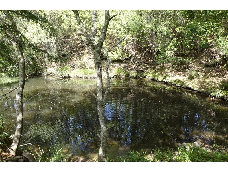 20 Cooloon Street, Kunghur NSW 2484