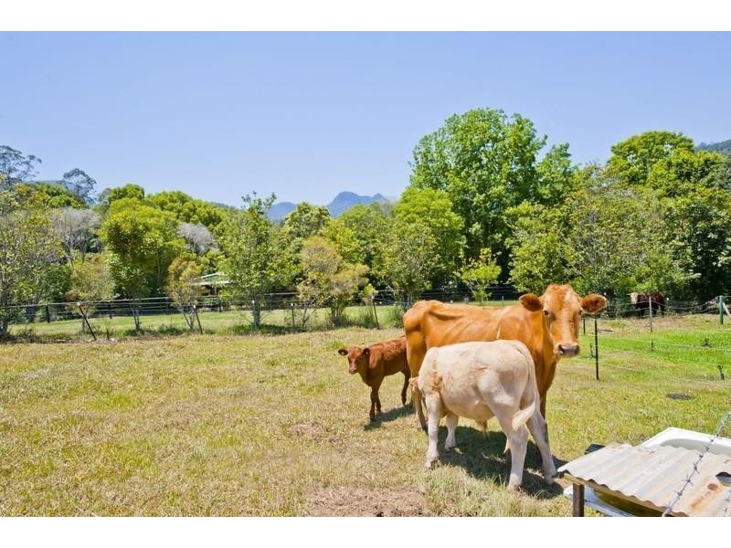 293 Upper Crystal Creek Road, Upper Crystal Creek NSW 2484