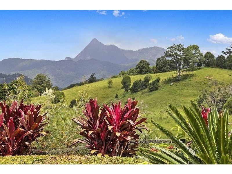 293 Upper Crystal Creek Road, Upper Crystal Creek NSW 2484