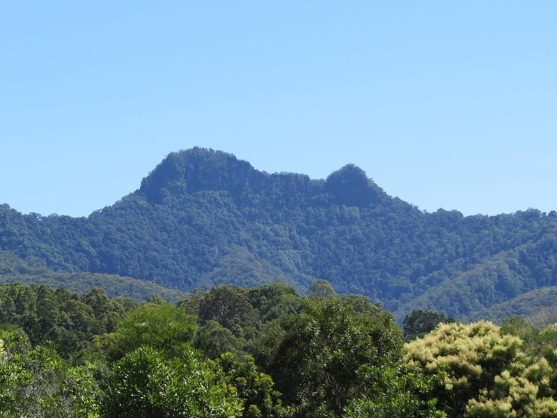 293 Upper Crystal Creek Road, Upper Crystal Creek NSW 2484