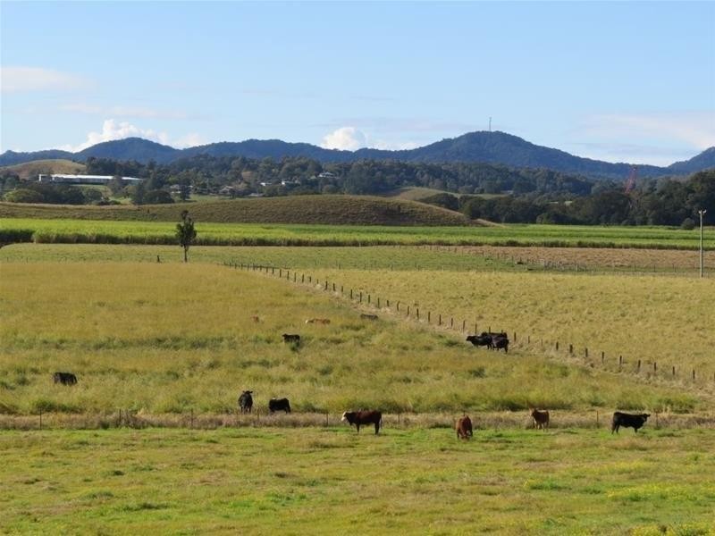 26 Oconnor Drive, Murwillumbah NSW 2484