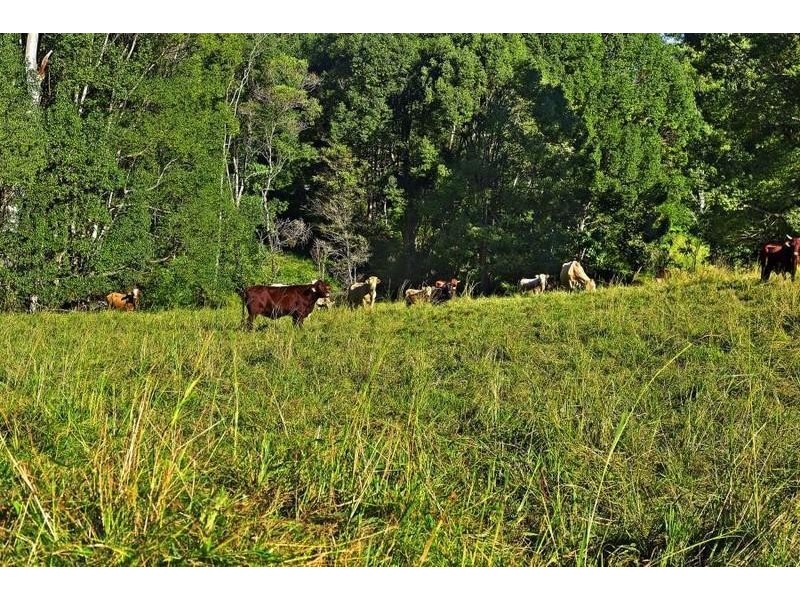 288 Tunnel Road, Stokers Siding NSW 2484